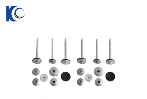 EVA Washer Roofing Screw