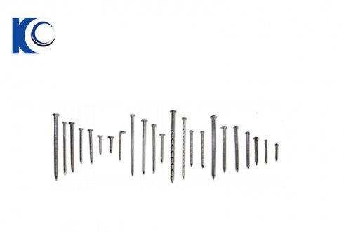 Stainless Steel Nails