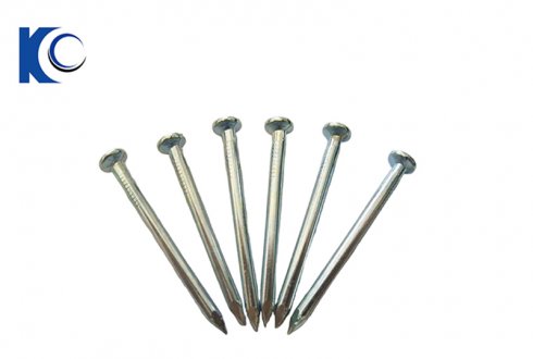 Electrogalvanized Concrete Nails(Smooth)